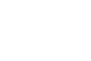 Documentation in the form of file attachments