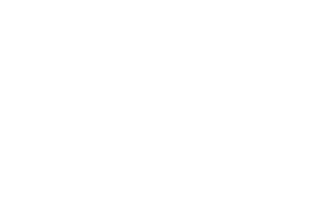 Dashboards und Reports