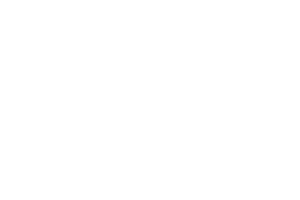Max Automation Logo