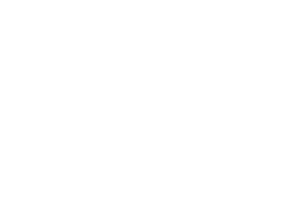 Full Audit Trail