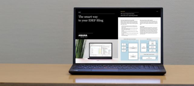 ESEF whitepaper